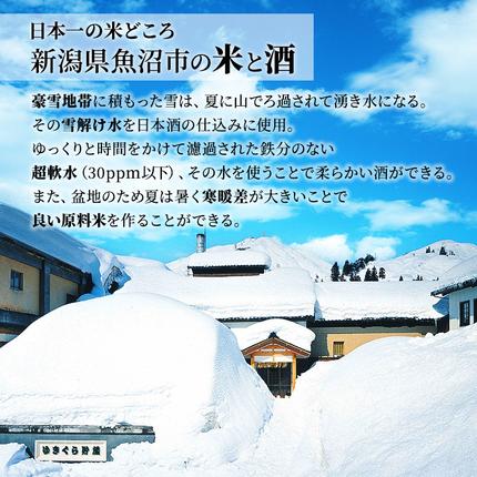 新潟県魚沼市のふるさと納税 日本酒 セット 金賞 プラチナ賞 計7冠受賞 純米大吟醸 目黒五郎助 純米吟醸 越乃雪蔵 1.8L 2本 セット 日本酒 清酒 地酒 新潟 魚沼市