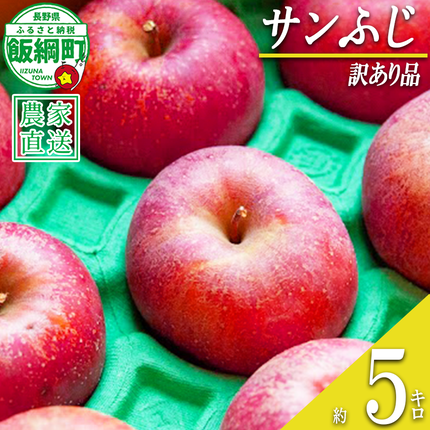 りんご サンふじ 訳あり 5kg ファーム