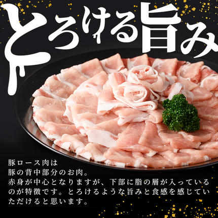 鹿児島県志布志市のふるさと納税 【訳あり】九州産豚ロースしゃぶしゃぶセット(計2.4kg・300g×8P) a3-245