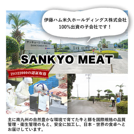 鹿児島県志布志市のふるさと納税 【訳あり】九州産豚ロースしゃぶしゃぶセット(計2.4kg・300g×8P) a3-245