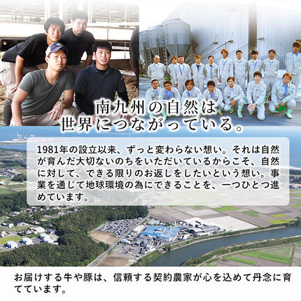 鹿児島県志布志市のふるさと納税 【訳あり】九州産豚ロースしゃぶしゃぶセット(計2.4kg・300g×8P) a3-245