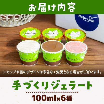 宮城県名取市のふるさと納税 ナチュリノ自慢の手づくりジェラート 6種 自然派 人気店 Gelateria Natu-Lino natulino [ジェラート アイスクリーム スイーツ フルーツ カップ]