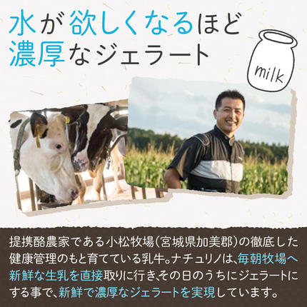 宮城県名取市のふるさと納税 ナチュリノ自慢の手づくりジェラート 6種 自然派 人気店 Gelateria Natu-Lino natulino [ジェラート アイスクリーム スイーツ フルーツ カップ]