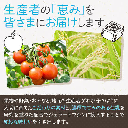 宮城県名取市のふるさと納税 ナチュリノ自慢の手づくりジェラート 6種 自然派 人気店 Gelateria Natu-Lino natulino [ジェラート アイスクリーム スイーツ フルーツ カップ]