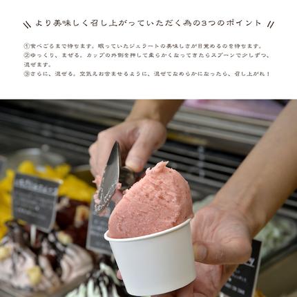 宮城県名取市のふるさと納税 ナチュリノ自慢の手づくりジェラート 6種 自然派 人気店 Gelateria Natu-Lino natulino [ジェラート アイスクリーム スイーツ フルーツ カップ]