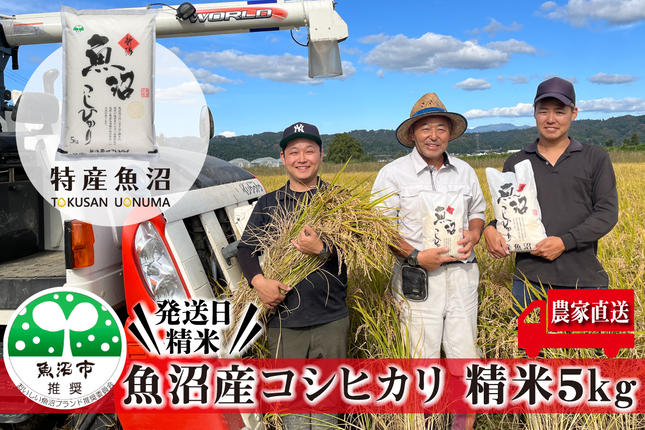 新潟県魚沼市のふるさと納税 令和7年産 農家直送！ 魚沼産 コシヒカリ 精米 5kg （ 米 こしひかり お米 こめ コメ 魚沼産コシヒカリ 魚沼 新潟 魚沼産こしひかり おこめ 白米 ） 新潟県