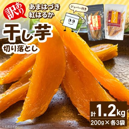 【先行予約】2026年10月より順次発送開