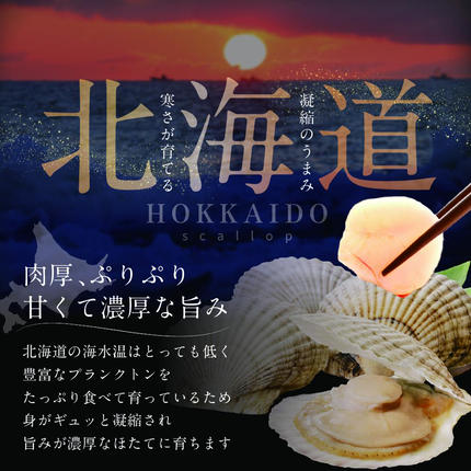 北海道別海町のふるさと納税 大人気 訳あり 北海道産 冷凍 ホタテ 400g ほたて ホタテ 帆立 貝柱  海鮮 魚介類 刺身 大粒 天然 海鮮  ランキング 大人気 人気 おすすめ 訳あり ）