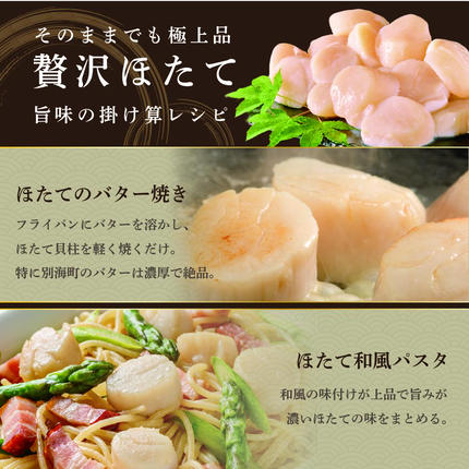 北海道別海町のふるさと納税 大人気 訳あり 北海道産 冷凍 ホタテ 400g ほたて ホタテ 帆立 貝柱  海鮮 魚介類 刺身 大粒 天然 海鮮  ランキング 大人気 人気 おすすめ 訳あり ）