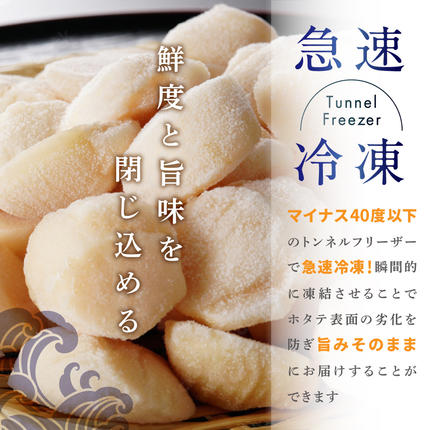北海道別海町のふるさと納税 【訳あり】北海道 北海道産 ほたて 500g 帆立 貝柱 ホタテ 貝柱