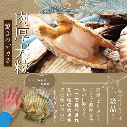 禁輸に負けない！】 食べ応え抜群！ 特大 ホタテ貝柱 500g 北海道野付 