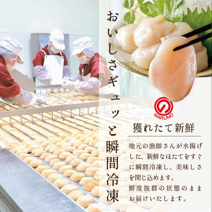 北海道別海町のふるさと納税 【禁輸に負けない！】 食べ応え抜群！ 特大 ホタテ貝柱 500g 北海道野付産  野付の 帆立 を知り尽くす 野付漁協自ら加工だから 旨さ 訳あり ホタテ （ほたて ホタテ 帆立 貝柱 ホタテ貝柱 大玉 大粒 人気 大人気 おすすめ ランキング 北海道 別海 野付 ふるさと納税）