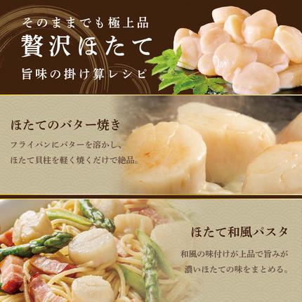 北海道別海町のふるさと納税 【禁輸に負けない！】 食べ応え抜群！ 特大 ホタテ貝柱 500g 北海道野付産  野付の 帆立 を知り尽くす 野付漁協自ら加工だから 旨さ 訳あり ホタテ （ほたて ホタテ 帆立 貝柱 ホタテ貝柱 大玉 大粒 人気 大人気 おすすめ ランキング 北海道 別海 野付 ふるさと納税）