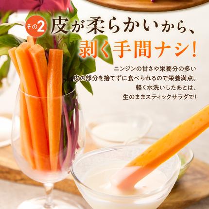 愛知県碧南市のふるさと納税 〈予約受付〉メディア出演多数！【期間限定】（訳あり）鈴盛農園の甘～いにんじん 『スウィートキャロットリリィ』 10kg H022-020