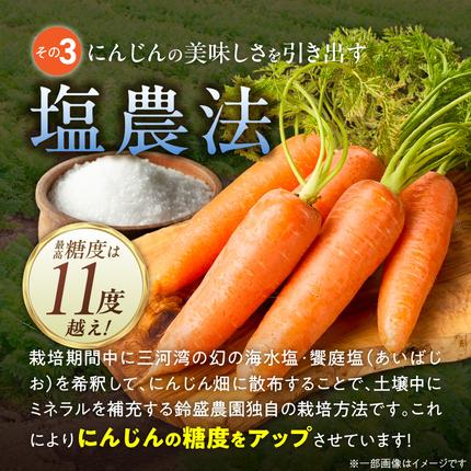 愛知県碧南市のふるさと納税 〈予約受付〉メディア出演多数！【期間限定】（訳あり）鈴盛農園の甘～いにんじん 『スウィートキャロットリリィ』 10kg H022-020