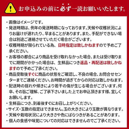 長野県小諸市のふるさと納税 【2026年10月中旬～発送予定】 先行予約 訳あり りんご シナノスイート 約10kg 24～40玉入 家庭用 フルーツ 果物 甘い 訳あり おいしい 林檎