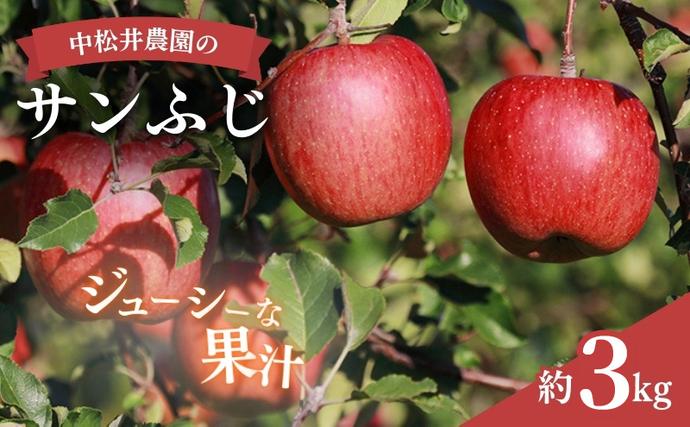 2026年産 中松井農園のサンふじ 約3kg