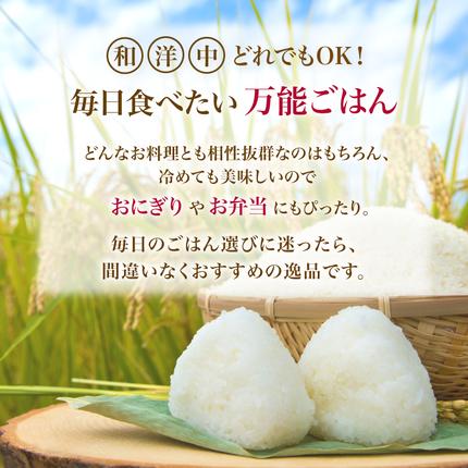秋田県にかほ市のふるさと納税 【新米先行予約】【2026年10月以降順次発送予定】《定期便3ヵ月》ひとめぼれ 令和8年度産 精米5kg【精米 白米 米 コメ お米 おこめ ブランド米 ご飯 ごはん 秋田 にかほ】