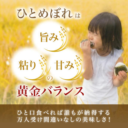 秋田県にかほ市のふるさと納税 【新米先行予約】【2026年10月以降順次発送予定】ひとめぼれ 令和8年度産 精米10kg(5kg×2)【精米 白米 米 コメ お米 おこめ ブランド米 ご飯 ごはん 秋田 にかほ】