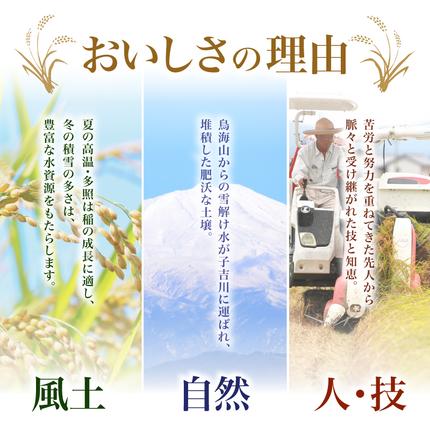 秋田県にかほ市のふるさと納税 【新米先行予約】【2026年10月以降順次発送予定】ひとめぼれ 令和8年度産 精米10kg(5kg×2)【精米 白米 米 コメ お米 おこめ ブランド米 ご飯 ごはん 秋田 にかほ】