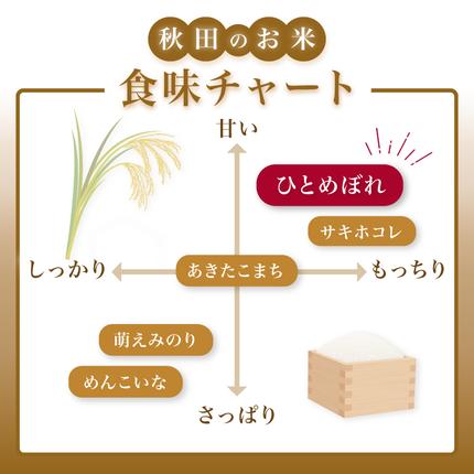 秋田県にかほ市のふるさと納税 【新米先行予約】【2026年10月以降順次発送予定】ひとめぼれ 令和8年度産 精米10kg(5kg×2)【精米 白米 米 コメ お米 おこめ ブランド米 ご飯 ごはん 秋田 にかほ】