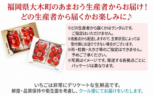 先行予約》【アフター保証】いちご あまおう 大木町 約250g×4パック