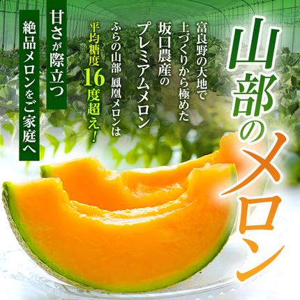 セゾン限定】【2026年6月より順次発送】ふらの山部の絶品メロン『鳳凰