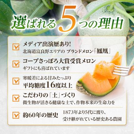 北海道富良野市のふるさと納税 【セゾン限定】【2026年6月より順次発送】ふらの山部の絶品メロン『鳳凰』 2L 2玉 計3.6kg以上（坂口農産）メロン フルーツ 果物 新鮮 甘い 贈り物 ギフト 道産 ジューシー おやつ ふらの ブランド 夏