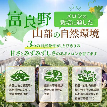セゾン限定】【2026年6月より順次発送】ふらの山部の絶品メロン『鳳凰