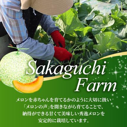北海道富良野市のふるさと納税 【セゾン限定】【2026年6月より順次発送】ふらの山部の絶品メロン『鳳凰』 2L 2玉 計3.6kg以上（坂口農産）メロン フルーツ 果物 新鮮 甘い 贈り物 ギフト 道産 ジューシー おやつ ふらの ブランド 夏