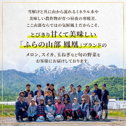 セゾン限定】【2026年6月より順次発送】ふらの山部の絶品メロン『鳳凰
