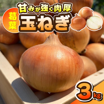 葛葉玉ねぎ 3kg[10玉程度 泉佐野市 泉州たまねぎ 肉厚 甘い] 010B1965
