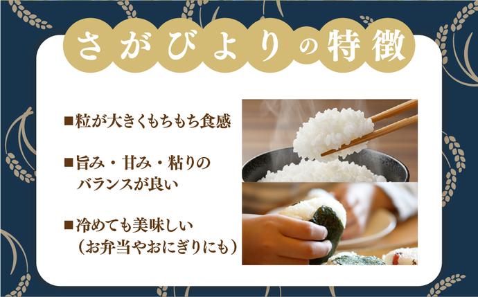 佐賀県大町町のふるさと納税  [令和7年産] 特A評価 さがびより 白米 5kg