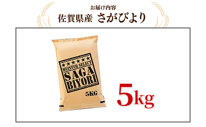 佐賀県大町町のふるさと納税  [令和7年産] 特A評価 さがびより 白米 5kg