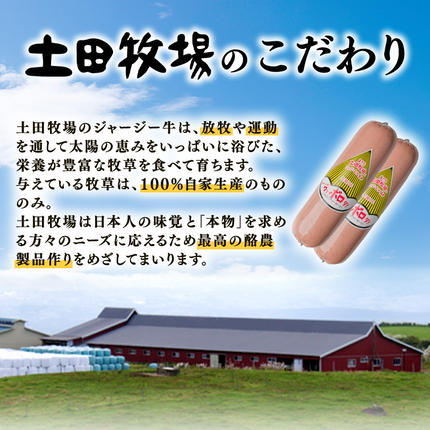 秋田県にかほ市のふるさと納税 ボロニアソーセージ 500g 3本 生食OK ジャージーミート使用 土田牧場 ソーセージ 生食 惣菜 朝食 おつまみ つまみ 加工肉 冷蔵 秋田 秋田県 にかほ市