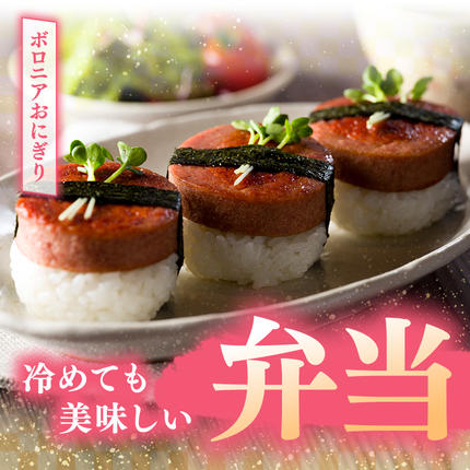 秋田県にかほ市のふるさと納税 ボロニアソーセージ 500g 3本 生食OK ジャージーミート使用 土田牧場 ソーセージ 生食 惣菜 朝食 おつまみ つまみ 加工肉 冷蔵 秋田 秋田県 にかほ市