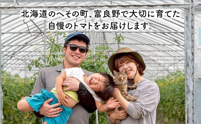 プチドロ　まとめ売り32枚　【正規品】 2026年7月～発送】訳あり 富良野産 採れたて直送! ミニトマト キャロル