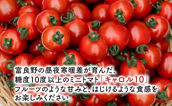 2026年7月～発送】訳あり 富良野産 採れたて直送! ミニトマト キャロル