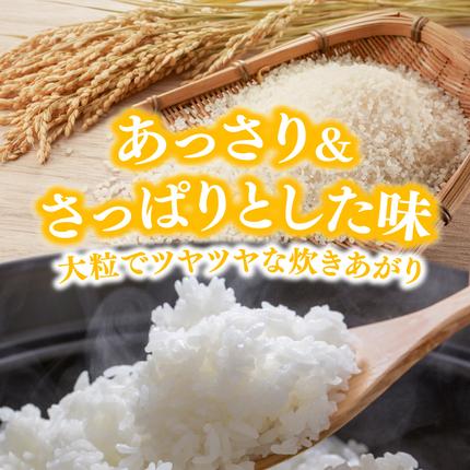 秋田県にかほ市のふるさと納税 【新米先行予約】【12か月定期便】 萌えみのり 精米 10kg 【令和8年度産精米 白米 米 コメ お米 おこめ ブランド米 ご飯 ごはん 秋田 にかほ】