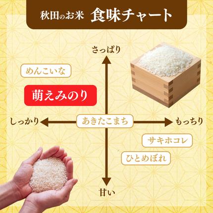 秋田県にかほ市のふるさと納税 【新米先行予約】【12か月定期便】 萌えみのり 精米 10kg 【令和8年度産精米 白米 米 コメ お米 おこめ ブランド米 ご飯 ごはん 秋田 にかほ】