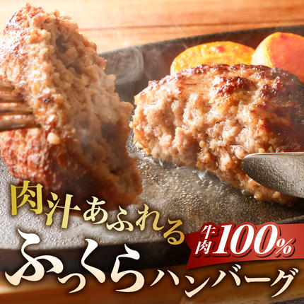 愛知県小牧市のふるさと納税 あさくまデミハンバーグ詰め合わせ 電子レンジ加熱可能 冷凍［052S14］