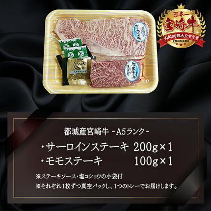 宮崎県都城市のふるさと納税 宮崎牛(A5)ステーキ食べ比べ300g_AC-01-004
