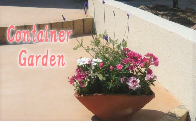 福岡県朝倉市のふるさと納税 可愛いピンクのお花たっぷりの寄せ植え