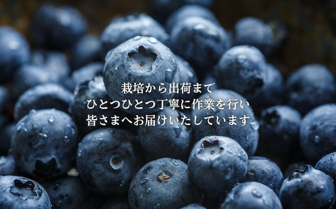 ブルーベリー詰め合わせセット / 奈良県宇陀市 | セゾンのふるさと納税