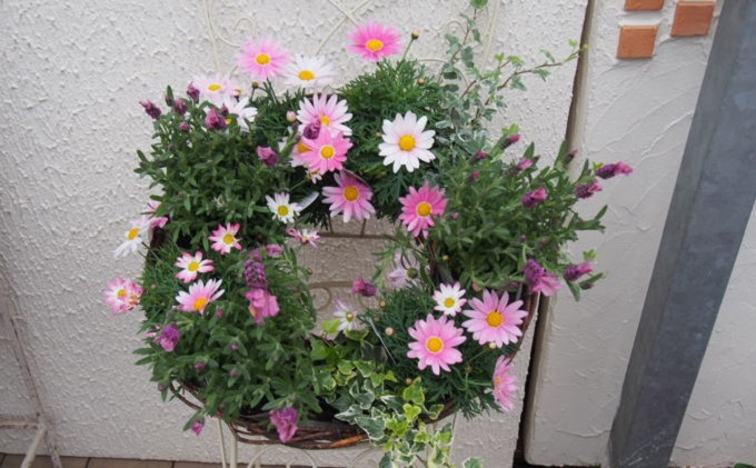 福岡県朝倉市のふるさと納税 花 季節のお花 サークルハンギング 植物 インテリア