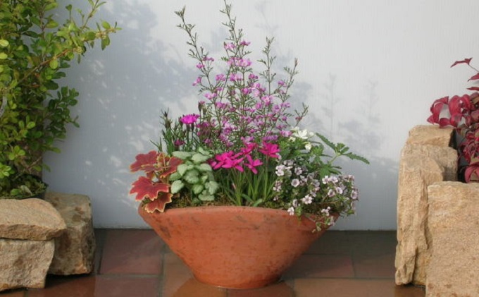 福岡県朝倉市のふるさと納税 可愛いピンクのお花たっぷりの寄せ植え