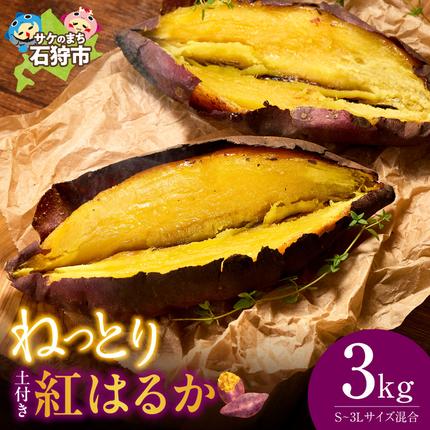 [先行予約]石狩産 土付サツマイモ 紅はるか(S〜3Lサイズ混在) 3kg[10月発送]|ふるさと納税 野菜 さつまいも 北海道 石狩市