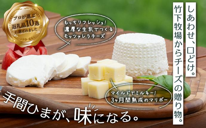 北海道中標津町のふるさと納税 【セゾン限定】竹下牧場まるごとチーズセット【24033】