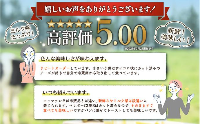北海道中標津町のふるさと納税 【セゾン限定】竹下牧場まるごとチーズセット【24033】