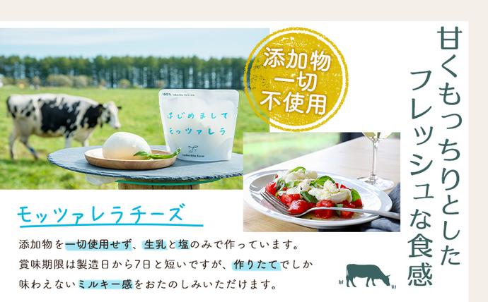 北海道中標津町のふるさと納税 【セゾン限定】竹下牧場まるごとチーズセット【24033】